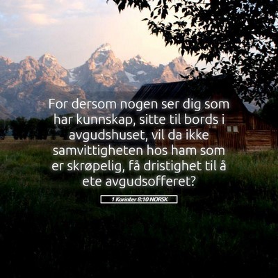 Picture 05 - 1 Korinter 8:10 NORSK - For dersom nogen ser dig som har kunnskap, sitte - Bible Verse Picture