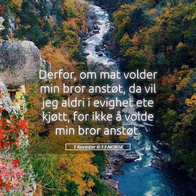 Picture 05 - 1 Korinter 8:13 NORSK - Derfor, om mat volder min bror anstøt, da vil - Bible Verse Picture