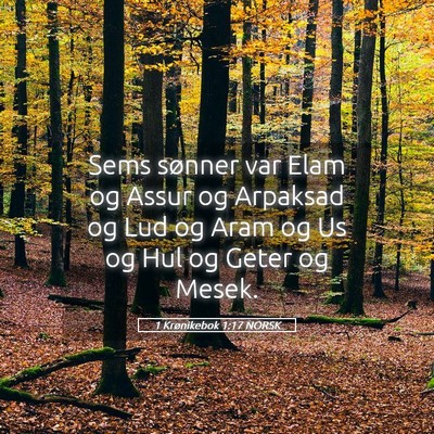 Picture 05 - 1 Krønikebok 1:17 NORSK - Sems sønner var Elam og Assur og Arpaksad og Lud - Bible Verse Picture