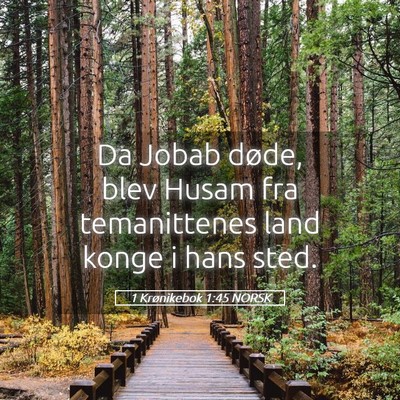 Picture 05 - 1 Krønikebok 1:45 NORSK - Da Jobab døde, blev Husam fra temanittenes land - Bible Verse Picture