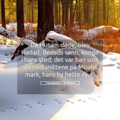 Picture 05 - 1 Krønikebok 1:46 NORSK - Da Husam døde, blev Hadad, Bedads sønn, konge i - Bible Verse Picture
