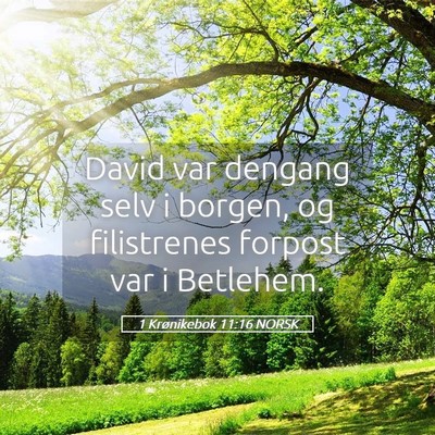 Picture 05 - 1 Krønikebok 11:16 NORSK - David var dengang selv i borgen, og filistrenes - Bible Verse Picture