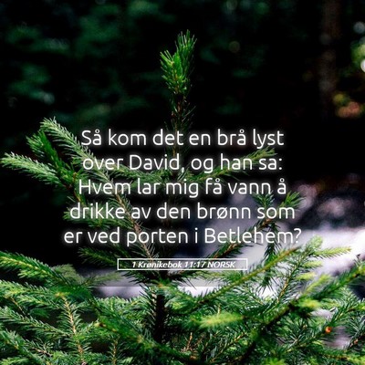 Picture 05 - 1 Krønikebok 11:17 NORSK - Så kom det en brå lyst over David, og han sa: - Bible Verse Picture