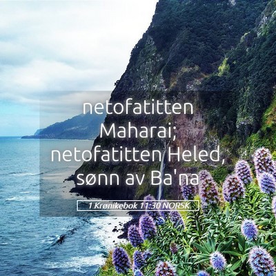 Picture 05 - 1 Krønikebok 11:30 NORSK - netofatitten Maharai; netofatitten Heled, sønn - Bible Verse Picture
