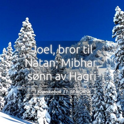Picture 05 - 1 Krønikebok 11:38 NORSK - Joel, bror til Natan; Mibhar, sønn av - Bible Verse Picture