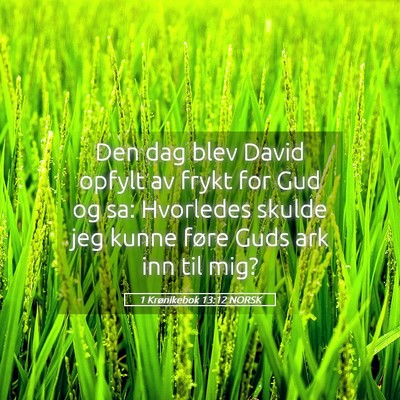 Picture 05 - 1 Krønikebok 13:12 NORSK - Den dag blev David opfylt av frykt for Gud og sa: - Bible Verse Picture