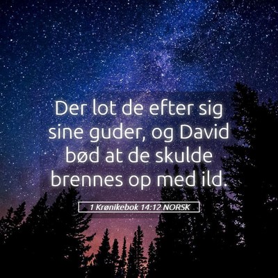 Picture 05 - 1 Krønikebok 14:12 NORSK - Der lot de efter sig sine guder, og David bød at - Bible Verse Picture