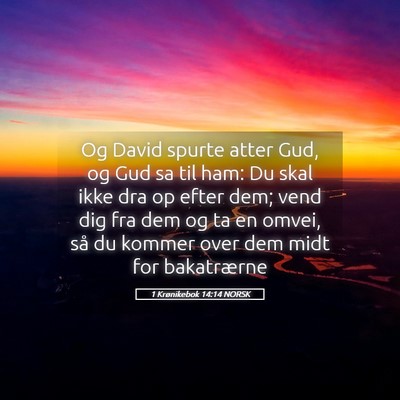 Picture 05 - 1 Krønikebok 14:14 NORSK - Og David spurte atter Gud, og Gud sa til ham: Du - Bible Verse Picture