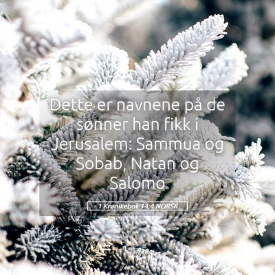 Picture 05 - 1 Krønikebok 14:4 NORSK - Dette er navnene på de sønner han fikk i - Bible Verse Picture