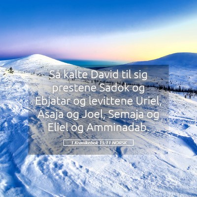 Picture 05 - 1 Krønikebok 15:11 NORSK - Så kalte David til sig prestene Sadok og Ebjatar - Bible Verse Picture