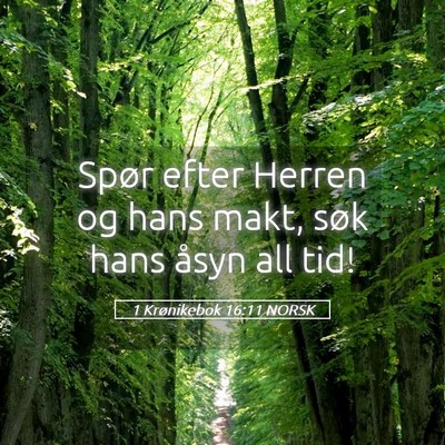 Picture 05 - 1 Krønikebok 16:11 NORSK - Spør efter Herren og hans makt, søk hans åsyn - Bible Verse Picture
