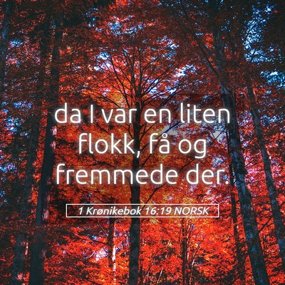 Picture 05 - 1 Krønikebok 16:19 NORSK - da I var en liten flokk, få og fremmede - Bible Verse Picture