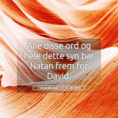 Picture 05 - 1 Krønikebok 17:15 NORSK - Alle disse ord og hele dette syn bar Natan frem - Bible Verse Picture