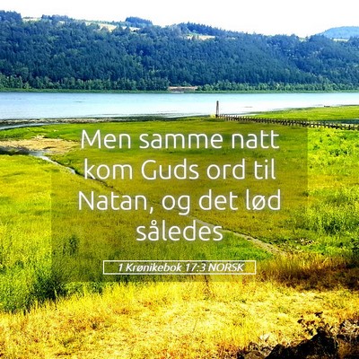Picture 05 - 1 Krønikebok 17:3 NORSK - Men samme natt kom Guds ord til Natan, og det - Bible Verse Picture