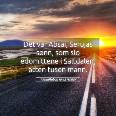 Picture 05 - 1 Krønikebok 18:12 NORSK - Det var Absai, Serujas sønn, som slo edomittene - Bible Verse Picture