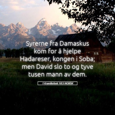 Picture 05 - 1 Krønikebok 18:5 NORSK - Syrerne fra Damaskus kom for å hjelpe Hadareser, - Bible Verse Picture