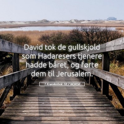 Picture 05 - 1 Krønikebok 18:7 NORSK - David tok de gullskjold som Hadaresers tjenere - Bible Verse Picture