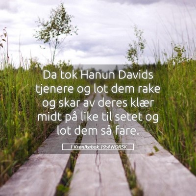 Picture 05 - 1 Krønikebok 19:4 NORSK - Da tok Hanun Davids tjenere og lot dem rake og - Bible Verse Picture