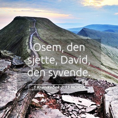 Picture 05 - 1 Krønikebok 2:15 NORSK - Osem, den sjette, David, den - Bible Verse Picture