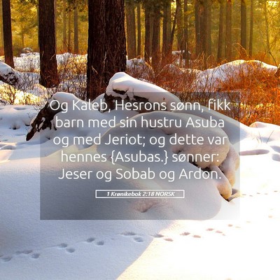 Picture 05 - 1 Krønikebok 2:18 NORSK - Og Kaleb, Hesrons sønn, fikk barn med sin hustru - Bible Verse Picture