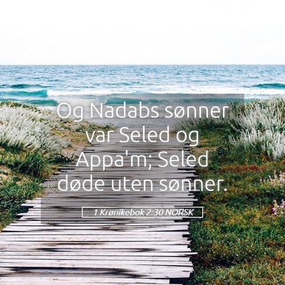 Picture 05 - 1 Krønikebok 2:30 NORSK - Og Nadabs sønner var Seled og Appa'm; Seled - Bible Verse Picture