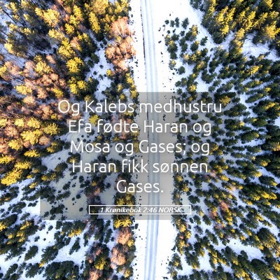 Picture 05 - 1 Krønikebok 2:46 NORSK - Og Kalebs medhustru Efa fødte Haran og Mosa og - Bible Verse Picture