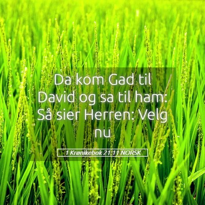 Picture 05 - 1 Krønikebok 21:11 NORSK - Da kom Gad til David og sa til ham: Så sier - Bible Verse Picture