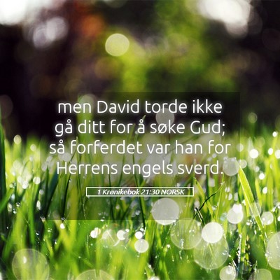 Picture 05 - 1 Krønikebok 21:30 NORSK - men David torde ikke gå ditt for å søke Gud; - Bible Verse Picture