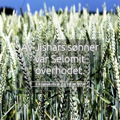 Picture 05 - 1 Krønikebok 23:18 NORSK - Av Jishars sønner var Selomit - Bible Verse Picture