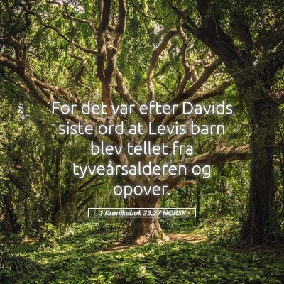 Picture 05 - 1 Krønikebok 23:27 NORSK - For det var efter Davids siste ord at Levis barn - Bible Verse Picture