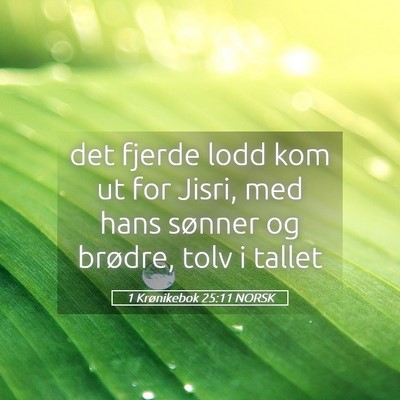 Picture 05 - 1 Krønikebok 25:11 NORSK - det fjerde lodd kom ut for Jisri, med hans - Bible Verse Picture