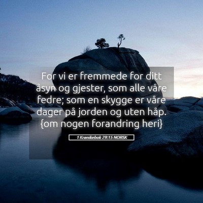 Picture 05 - 1 Krønikebok 29:15 NORSK - For vi er fremmede for ditt åsyn og gjester, som - Bible Verse Picture