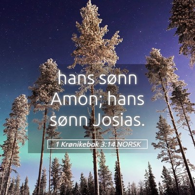 Picture 05 - 1 Krønikebok 3:14 NORSK - hans sønn Amon; hans sønn - Bible Verse Picture