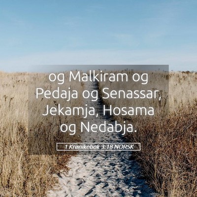Picture 05 - 1 Krønikebok 3:18 NORSK - og Malkiram og Pedaja og Senassar, Jekamja, - Bible Verse Picture