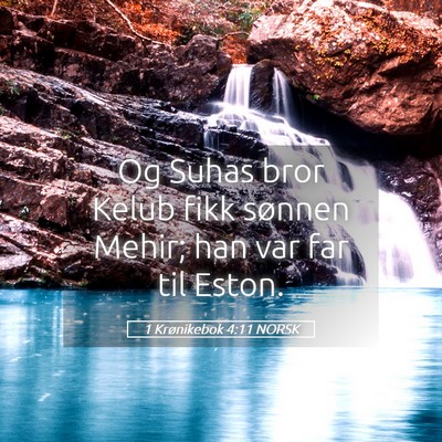 Picture 05 - 1 Krønikebok 4:11 NORSK - Og Suhas bror Kelub fikk sønnen Mehir; han var - Bible Verse Picture