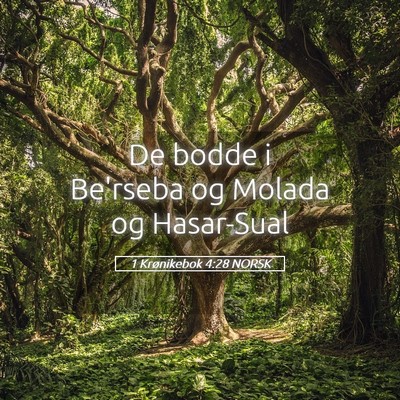 Picture 05 - 1 Krønikebok 4:28 NORSK - De bodde i Be'rseba og Molada og - Bible Verse Picture