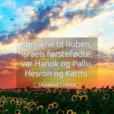 Picture 05 - 1 Krønikebok 5:3 NORSK - sønnene til Ruben, Israels førstefødte, var - Bible Verse Picture