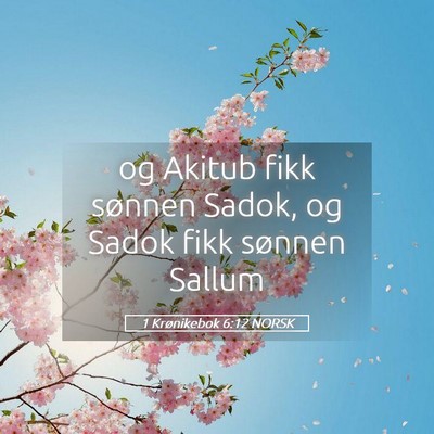 Picture 05 - 1 Krønikebok 6:12 NORSK - og Akitub fikk sønnen Sadok, og Sadok fikk - Bible Verse Picture