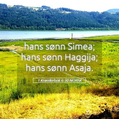 Picture 05 - 1 Krønikebok 6:30 NORSK - hans sønn Simea; hans sønn Haggija; hans sønn - Bible Verse Picture