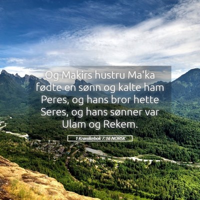 Picture 05 - 1 Krønikebok 7:16 NORSK - Og Makirs hustru Ma'ka fødte en sønn og kalte - Bible Verse Picture