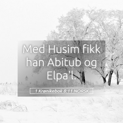 Picture 05 - 1 Krønikebok 8:11 NORSK - Med Husim fikk han Abitub og - Bible Verse Picture