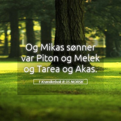 Picture 05 - 1 Krønikebok 8:35 NORSK - Og Mikas sønner var Piton og Melek og Tarea og - Bible Verse Picture