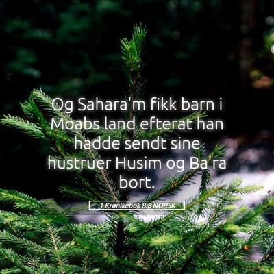 Picture 05 - 1 Krønikebok 8:8 NORSK - Og Sahara'm fikk barn i Moabs land efterat han - Bible Verse Picture