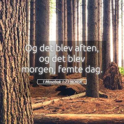 Picture 05 - 1 Mosebok 1:23 NORSK - Og det blev aften, og det blev morgen, femte - Bible Verse Picture