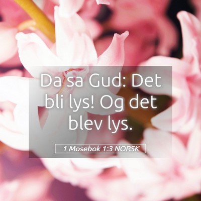 Picture 05 - 1 Mosebok 1:3 NORSK - Da sa Gud: Det bli lys! Og det blev - Bible Verse Picture