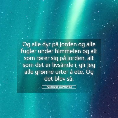 Picture 05 - 1 Mosebok 1:30 NORSK - Og alle dyr på jorden og alle fugler under - Bible Verse Picture