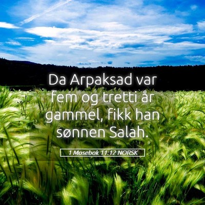 Picture 05 - 1 Mosebok 11:12 NORSK - Da Arpaksad var fem og tretti år gammel, fikk - Bible Verse Picture