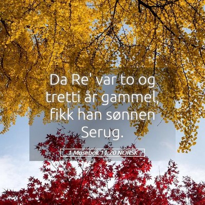 Picture 05 - 1 Mosebok 11:20 NORSK - Da Re' var to og tretti år gammel, fikk han - Bible Verse Picture