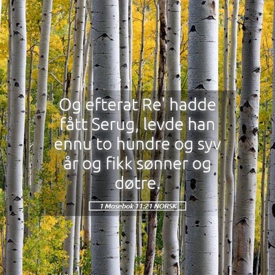 Picture 05 - 1 Mosebok 11:21 NORSK - Og efterat Re' hadde fått Serug, levde han ennu - Bible Verse Picture