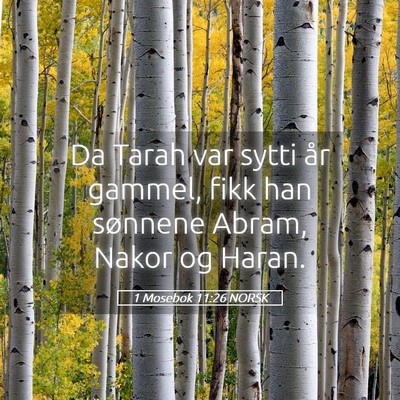 Picture 05 - 1 Mosebok 11:26 NORSK - Da Tarah var sytti år gammel, fikk han sønnene - Bible Verse Picture
